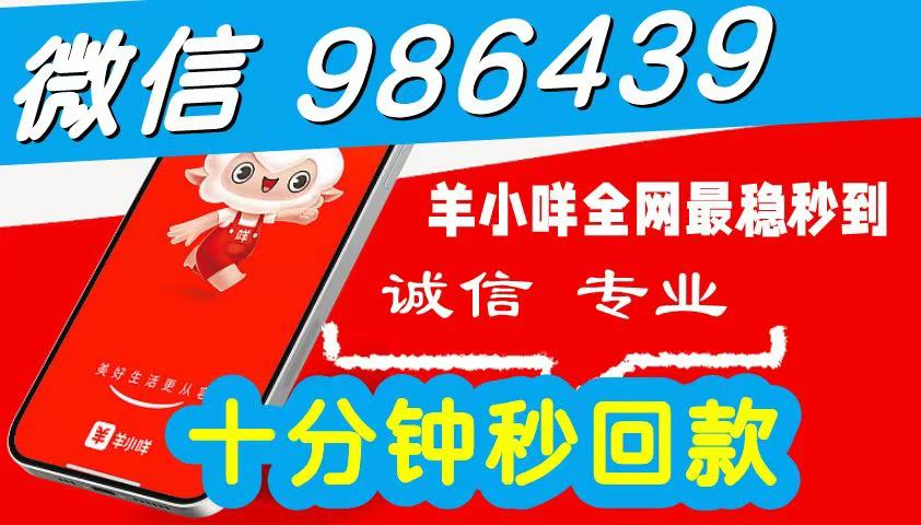 2026 羊小咩便荔卡包额度怎么提现出来秒到使用,简单三步教您自己操作